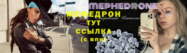 индика Богородск