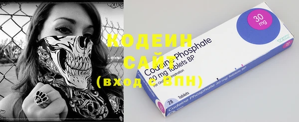 прущие грибы Богданович