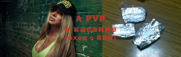 индика Богородск