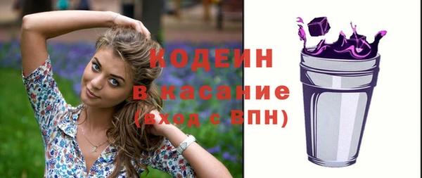 индика Богородск