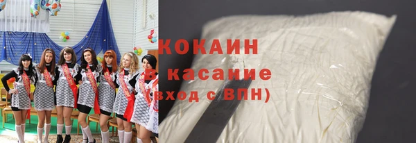 индика Богородск