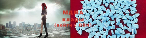 индика Богородск
