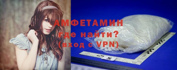 индика Богородск