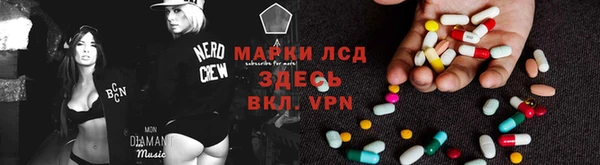 прущие грибы Богданович