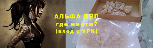 индика Богородск