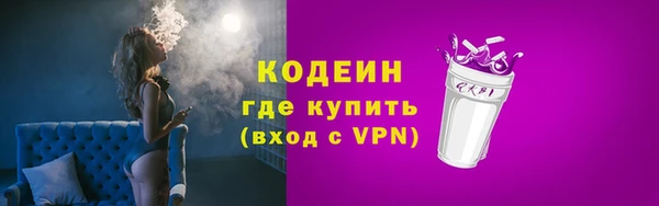 прущие грибы Богданович