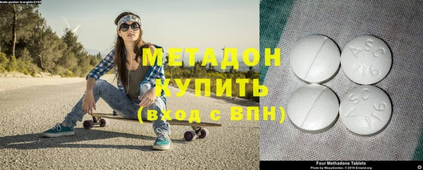 прущие грибы Богданович
