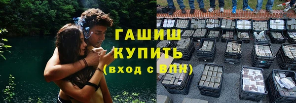 прущие грибы Богданович