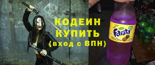 индика Богородск