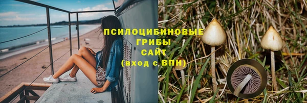 прущие грибы Богданович
