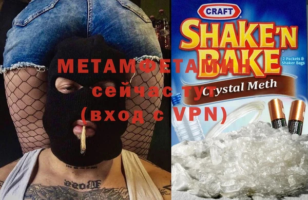 прущие грибы Богданович