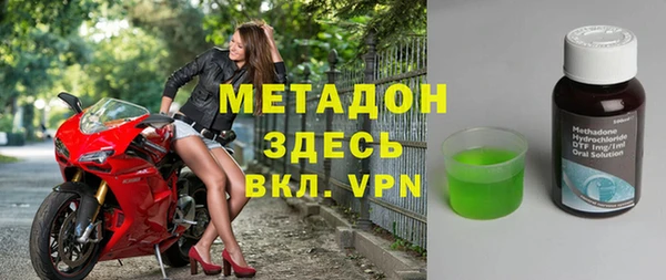 прущие грибы Богданович