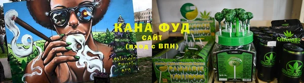 индика Богородск