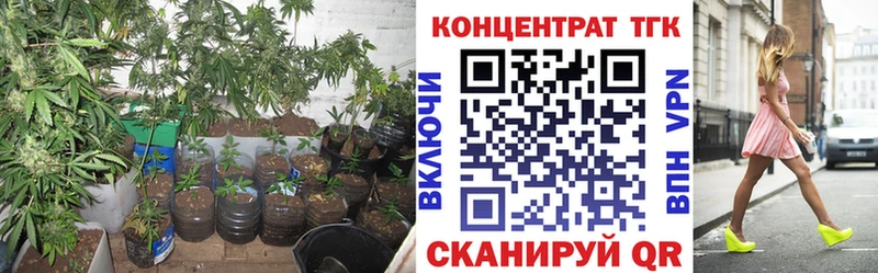 наркота  Мещовск  ТГК гашишное масло 